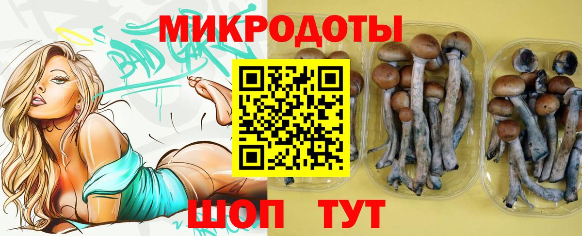 Шумерля  Псилоцибиновые грибы Psilocybe  Вход с VPN 